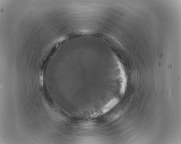 X0000070400643200606302012