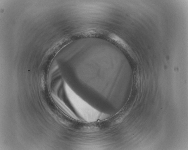 X0000070400644200606302012