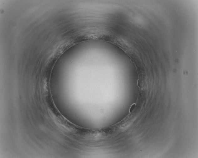 X0000070400646200606302012