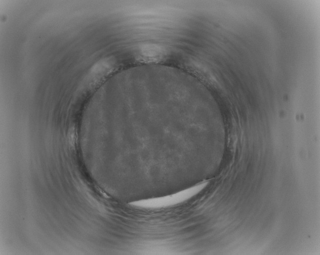 X0000070400647200606302012