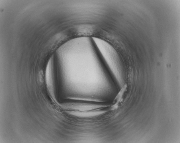 X0000070400649200606302012