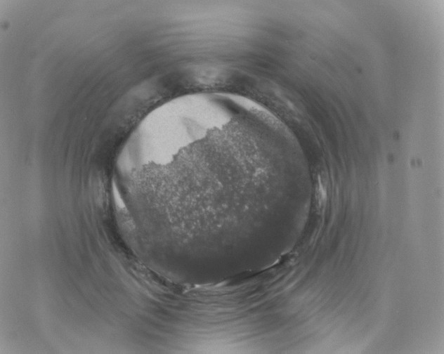 X0000070400651200606302012