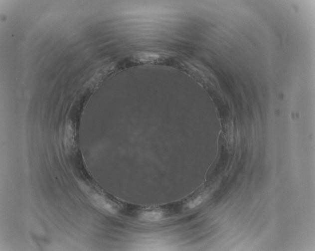 X0000070400653200606302012