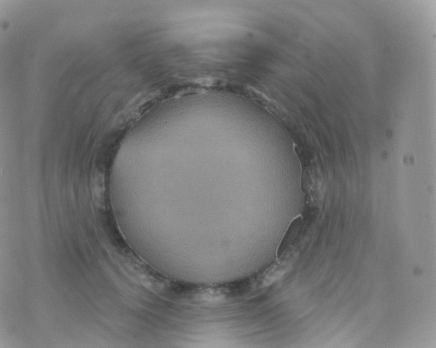 X0000070400656200606302012