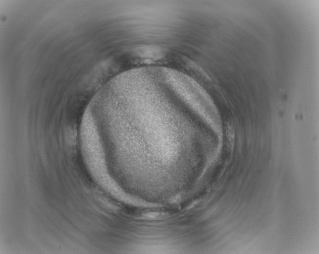 X0000070400657200606302012