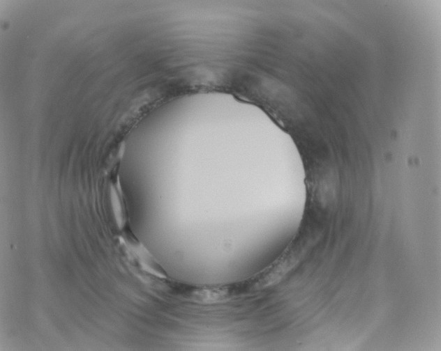 X0000070400660200606302012