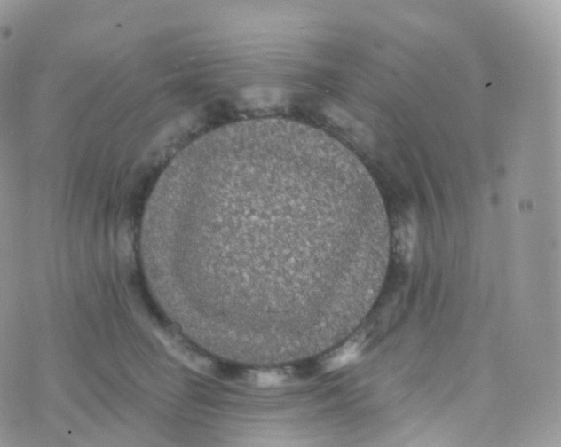 X0000070400662200606302012