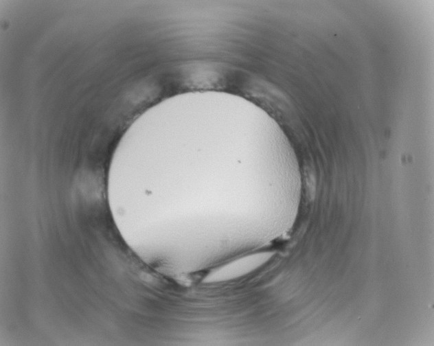 X0000070400665200606302012