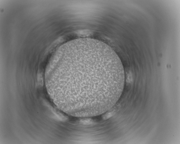 X0000070400666200606302012