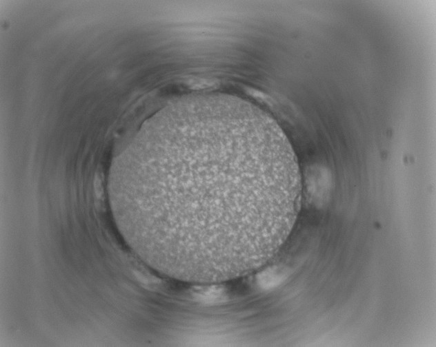 X0000070400667200606302013