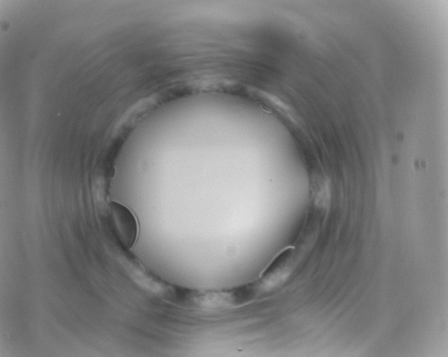 X0000070400670200606302013