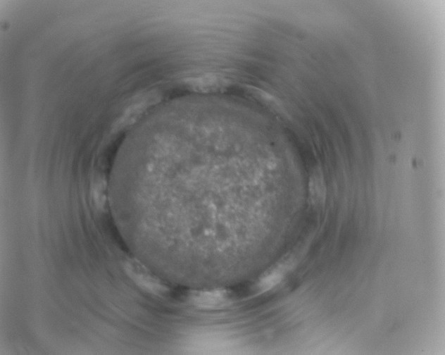 X0000070400671200606302013