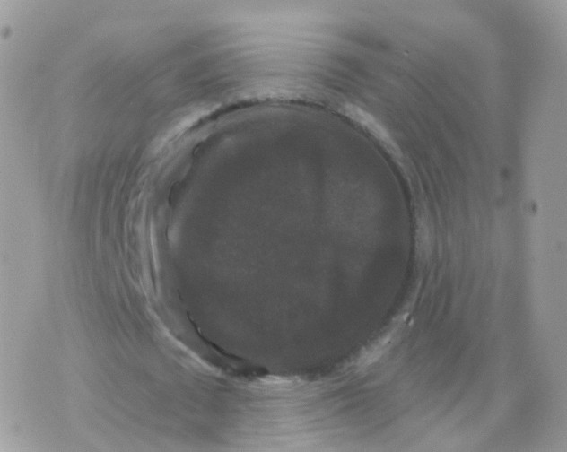 X0000070400673200606302012