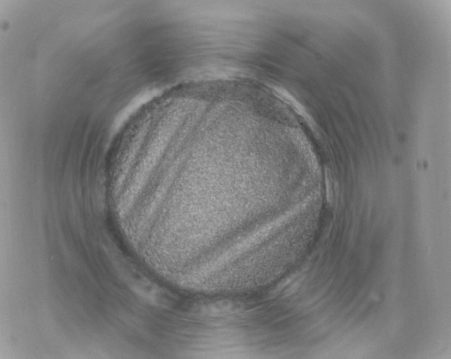 X0000070400675200606302012