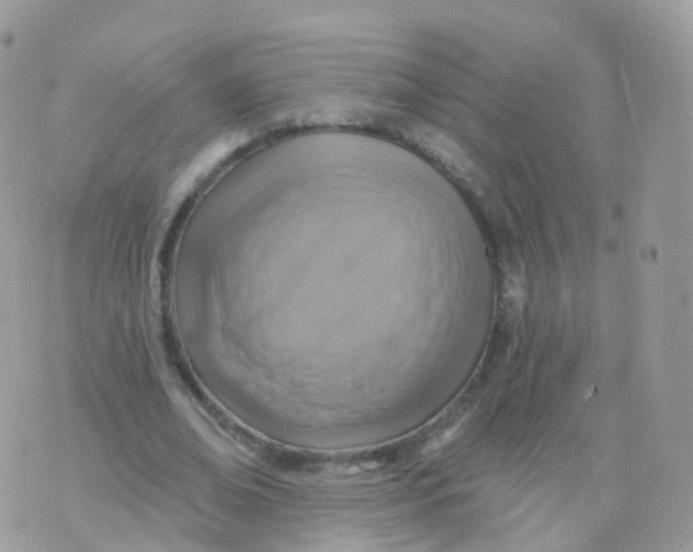 X0000070400678200606302012