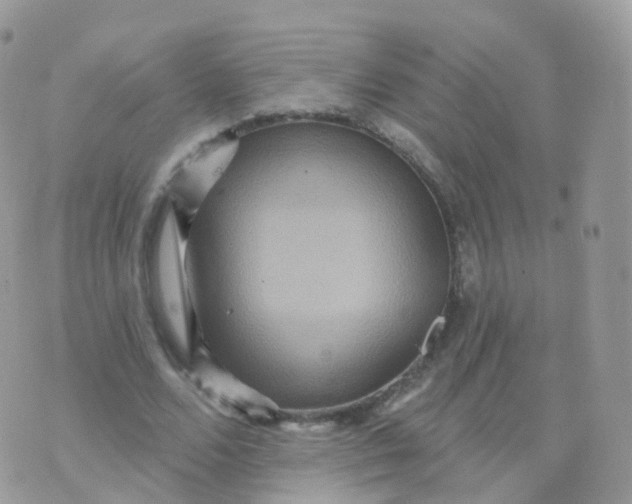 X0000070400680200606302012