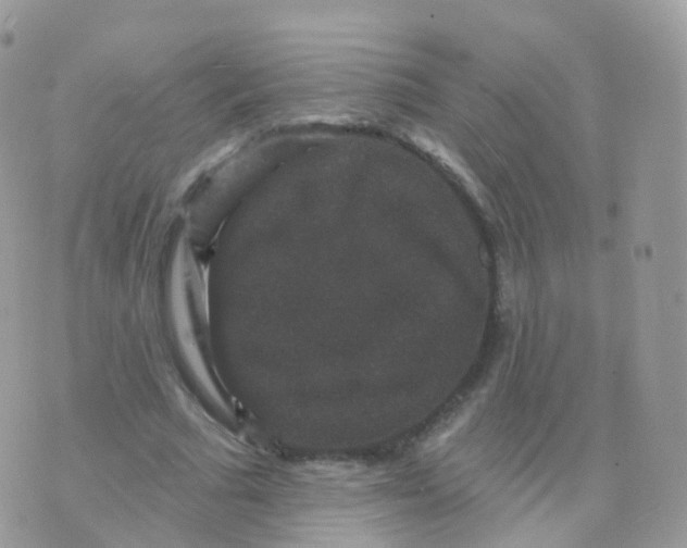 X0000070400681200606302012