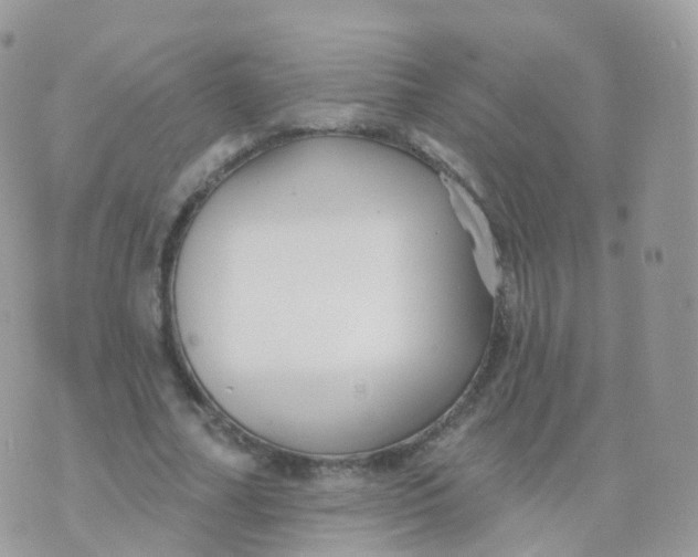 X0000070400682200606302012