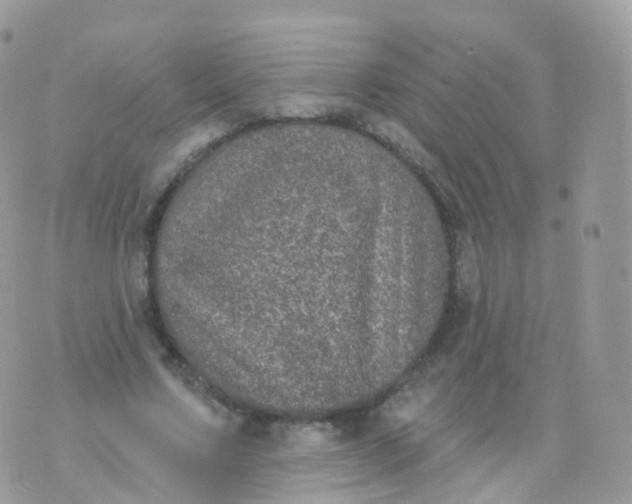 X0000070400683200606302012