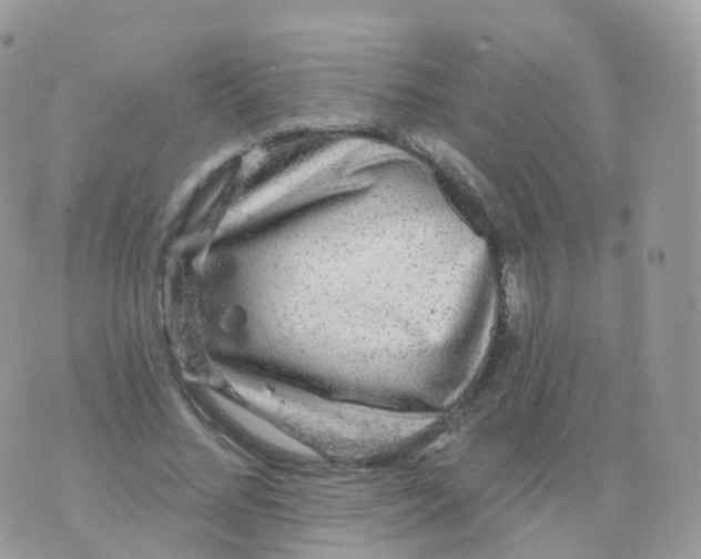 X0000070400684200606302012