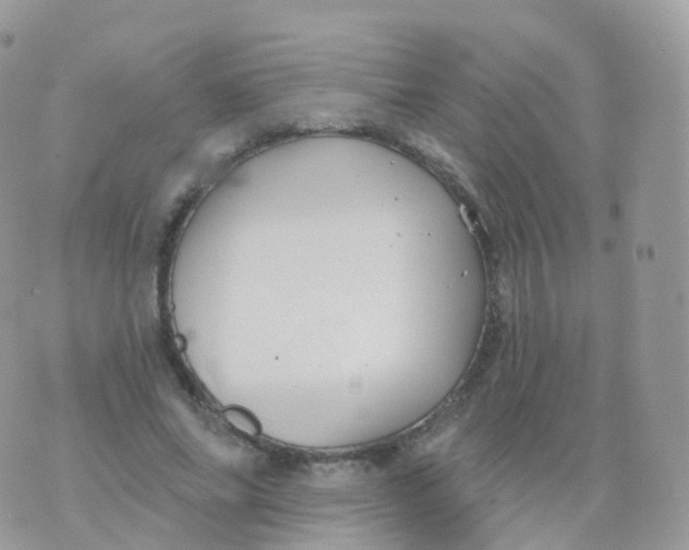 X0000070400686200606302012