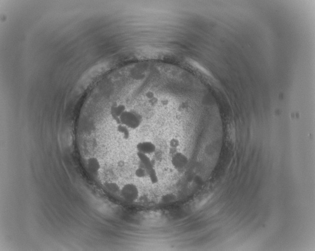 X0000070400687200606302012