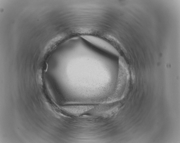 X0000070400688200606302012