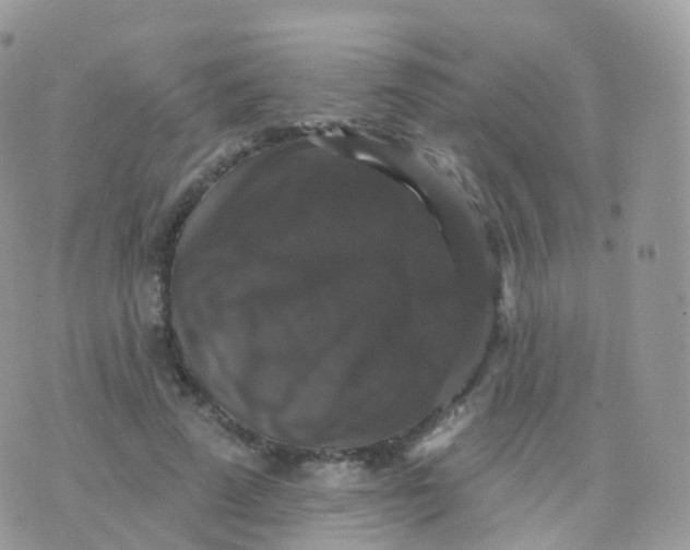 X0000070400689200606302012