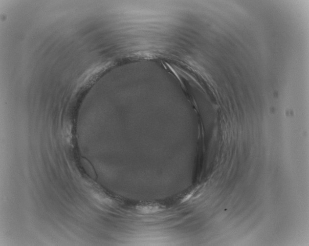 X0000070400693200606302011