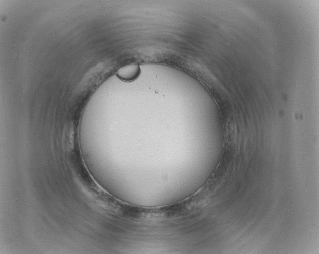 X0000070400694200606302011