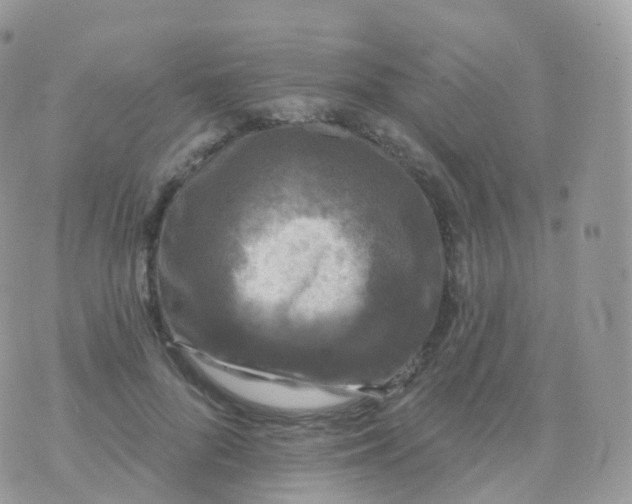 X0000070400696200606302011