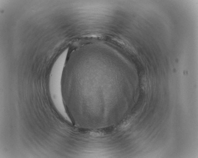 X0000070400697200606302011