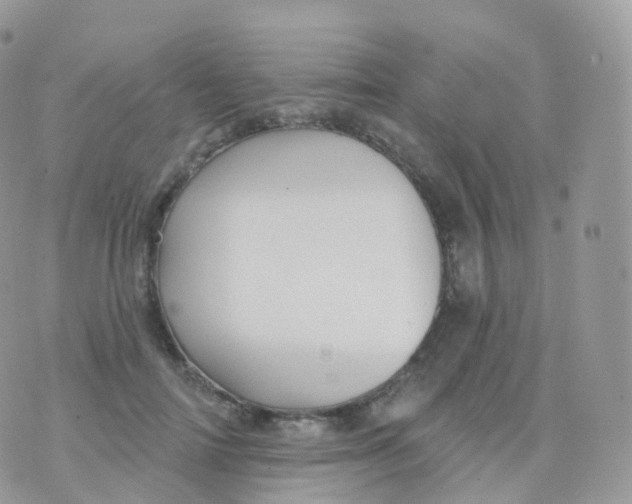 X0000070400698200606302011