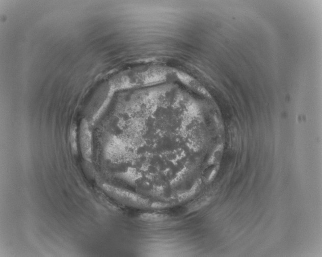 X0000070400699200606302011