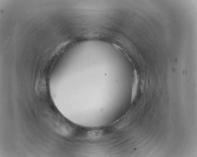 X0000070400700200606302011