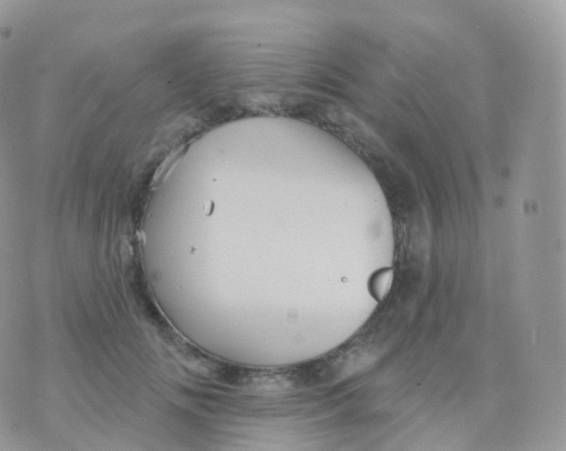 X0000070400702200606302011