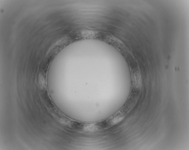 X0000070400705200606302011