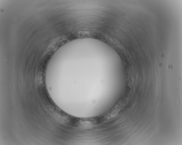 X0000070400706200606302011