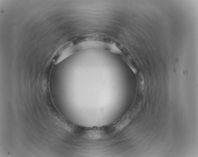 X0000070400708200606302011