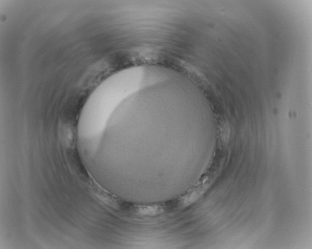 X0000070400709200606302011