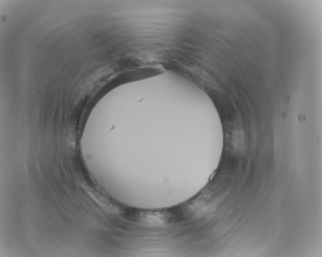 X0000070400710200606302011