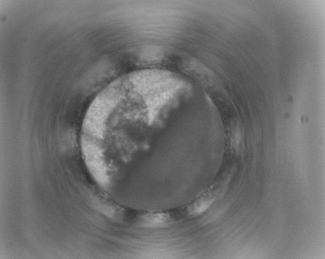 X0000070400711200606302011