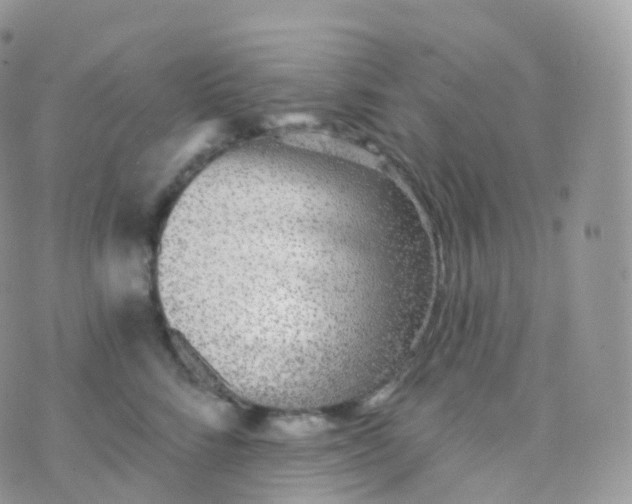 X0000070400712200606302011