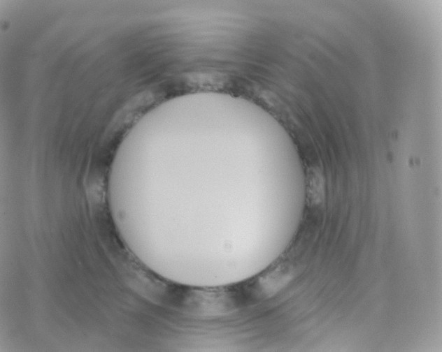 X0000070400713200606302011