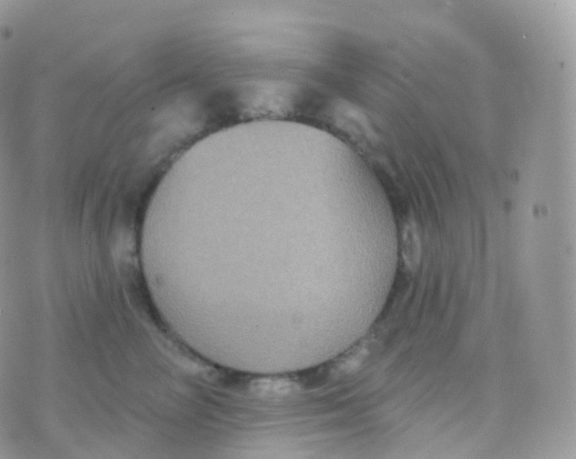 X0000070400714200606302011