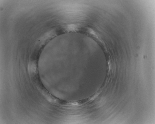 X0000070400715200606302011