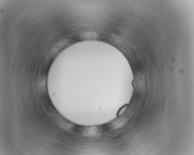 X0000070400717200606302011