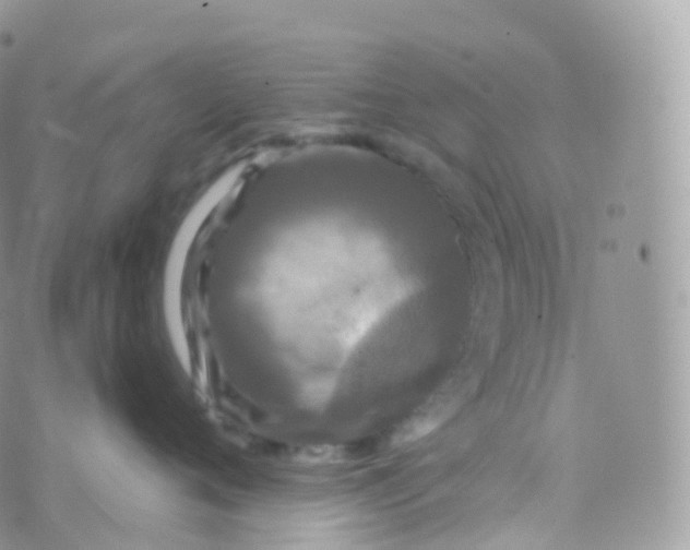 X0000070400720200606302011