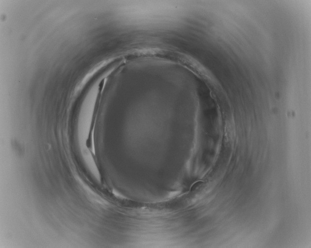 X0000070400722200606302010