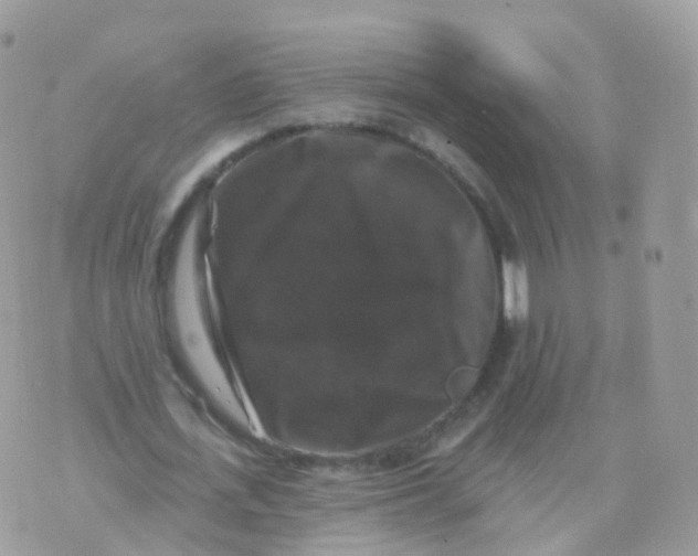 X0000070400723200606302010